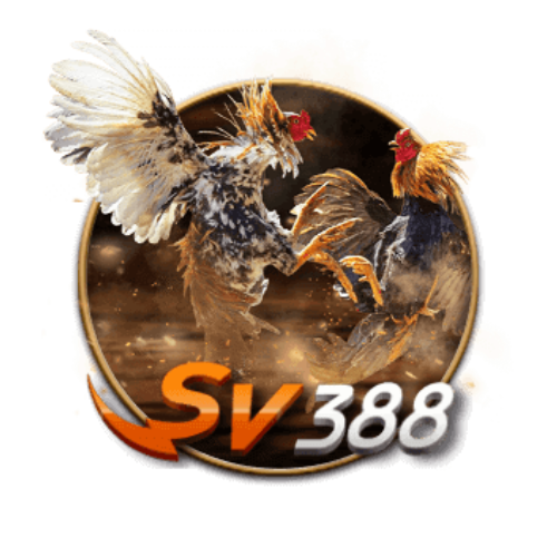 Đá gà SV388