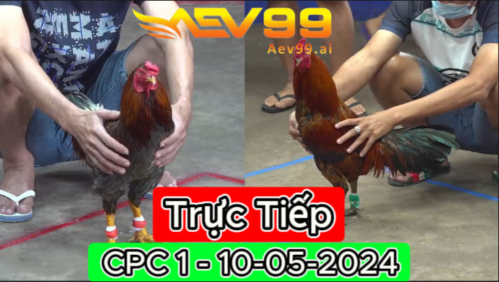Trực Tiếp thomo CPC1 ngày 10-05-2024