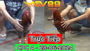 Trực Tiếp thomo CPC4 ngày 28-06-2024
