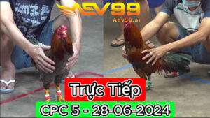 Trực Tiếp thomo CPC5 ngày 28-06-2024