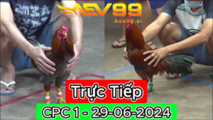 Trực Tiếp thomo CPC1 ngày 29-06-2024