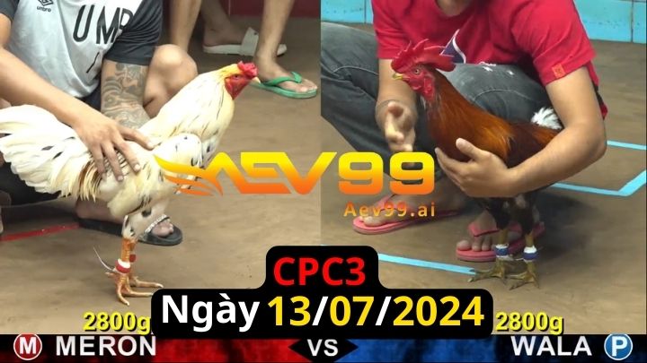 Trực Tiếp thomo CPC3 ngày 13-07-2024