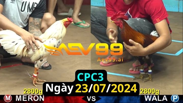 Trực Tiếp thomo CPC3 ngày 23-07-2024