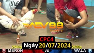 Trực Tiếp thomo CPC4 ngày 20-07-2024