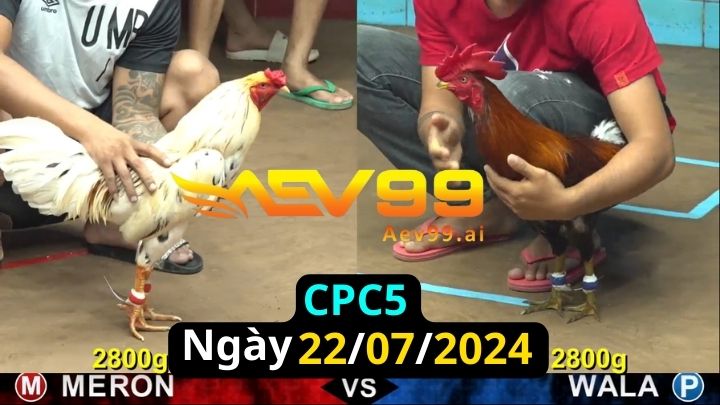 Trực Tiếp thomo CPC5 ngày 22-07-2024