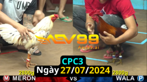 Trực Tiếp thomo CPC3 ngày 27-07-2024