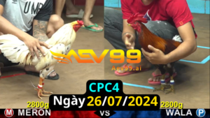 Trực Tiếp thomo CPC4 ngày 26-07-2024