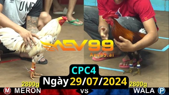 Trực Tiếp thomo CPC4 ngày 29-07-2024