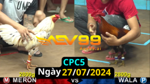 Trực Tiếp thomo CPC5 ngày 27-07-2024