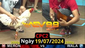 Trực Tiếp thomo CPC2 ngày 19-07-2024