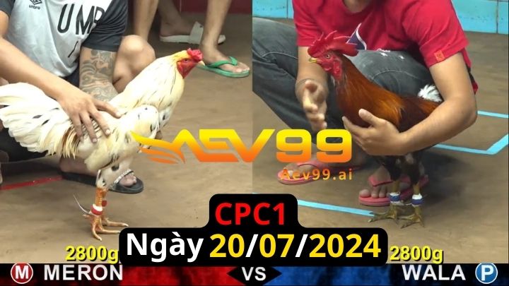 Trực Tiếp thomo CPC1 ngày 20-07-2024