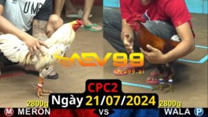 Trực Tiếp thomo CPC2 ngày 21-07-2024