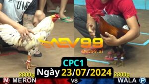 Trực Tiếp thomo CPC1 ngày 23-07-2024