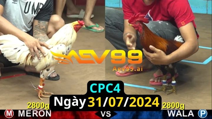 Trực Tiếp thomo CPC4 ngày 31-07-2024